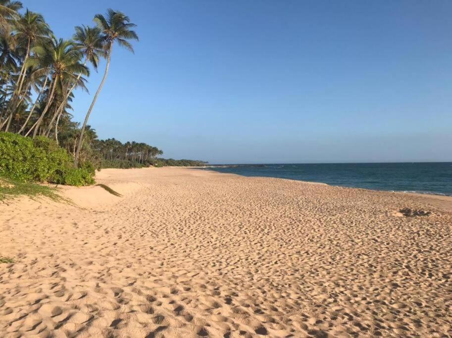 Gold Sand Resort Bentota Eksteriør billede